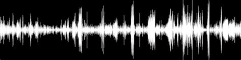 Disenchanted (Dub Collection) : Free Download, Borrow, and .